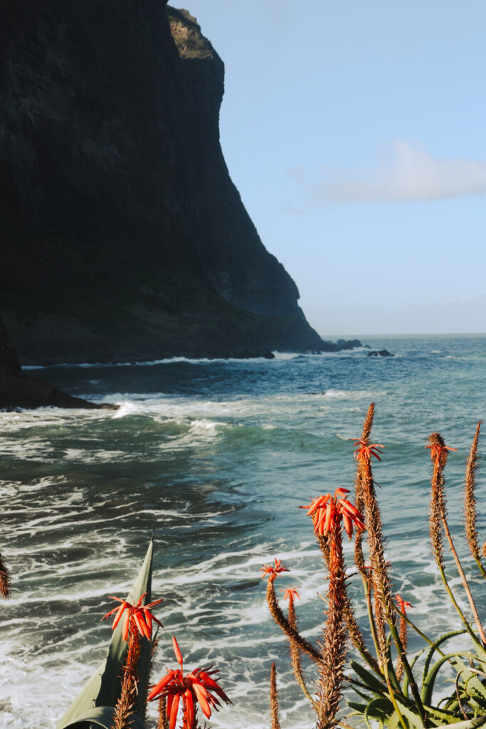 Madeira: Reisebericht mit tollen Einblicken