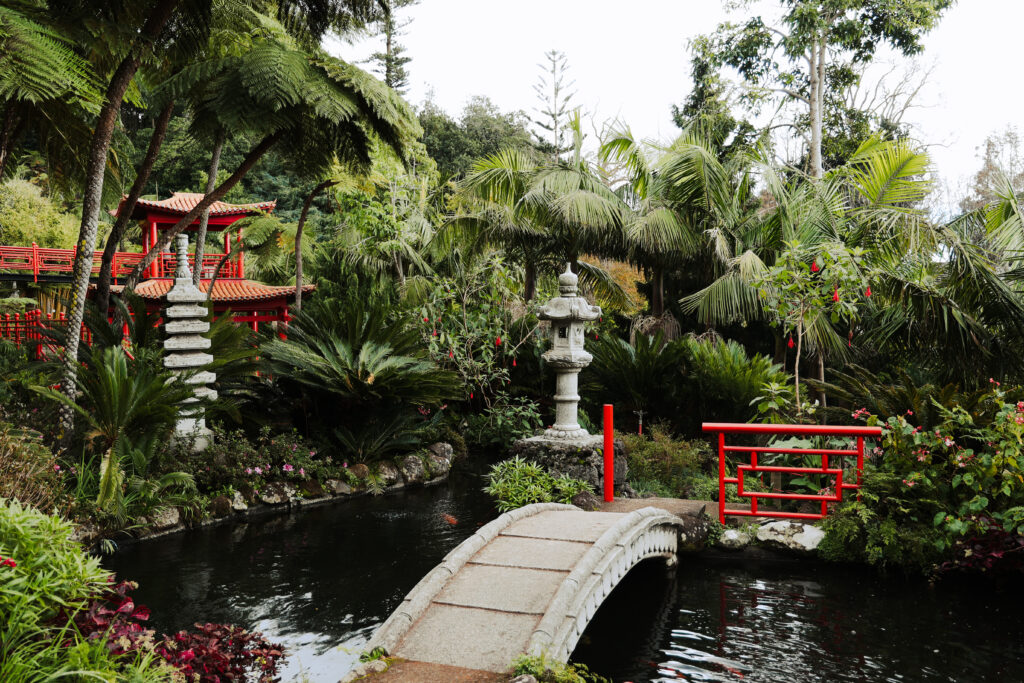 Japanisch-anmutender Garten auf Madeira