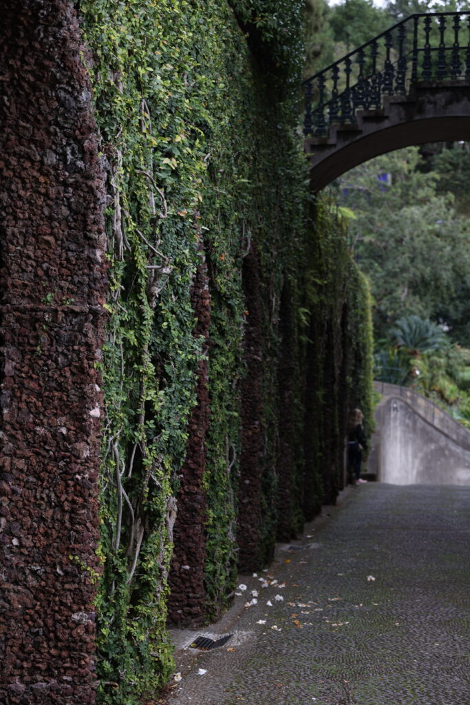 Königlicher Garten auf Madeira