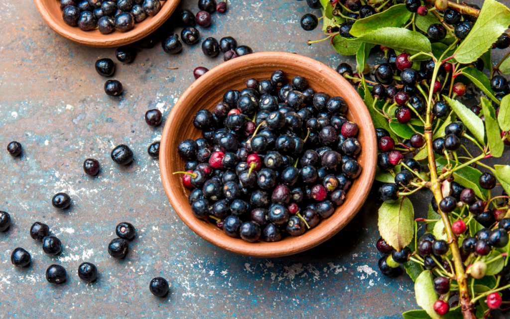 Blaubeeren als ware Superfood-Booster.