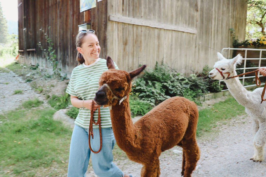 Laura Jenewein unterwegs mit Alpaka "Tschuglad".