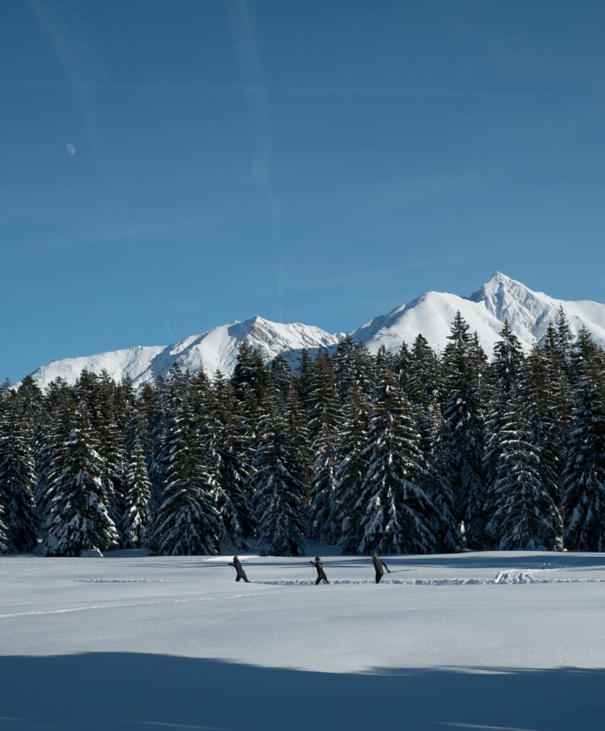 Langlaufen in Tirol