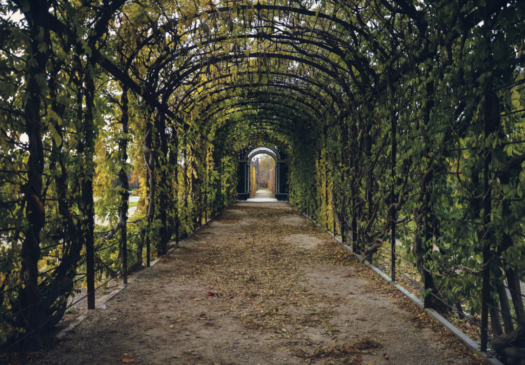 Garten für den Frühling vorbereiten