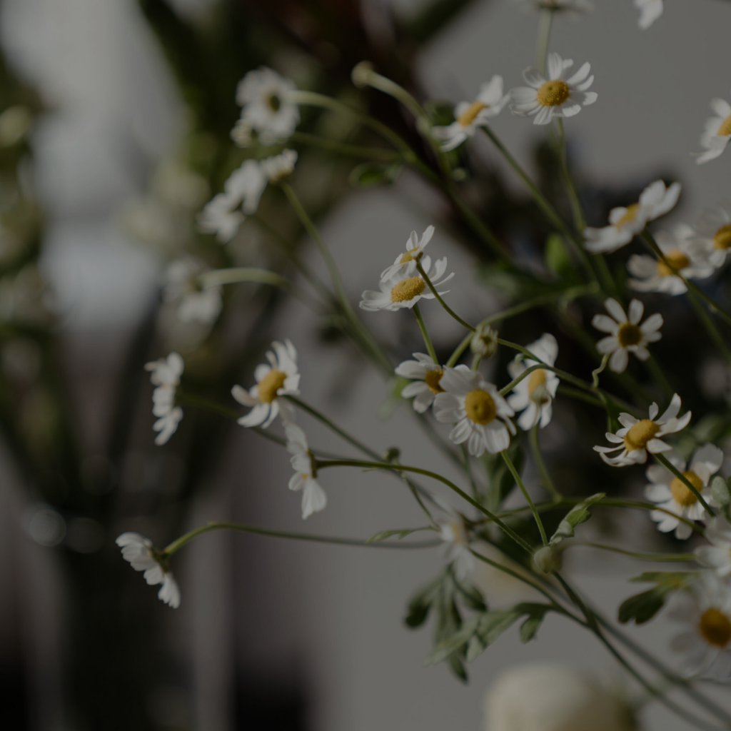 Frühling in den eigenen vier Wänden aufleben lassen